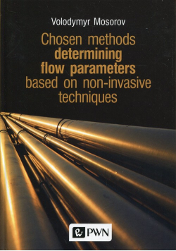 Chosen methods determining flow parameters based on non-invasive techniques