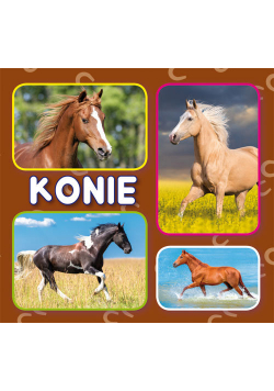 Konie