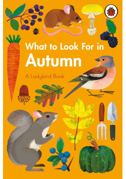 What to Look For in Autumn