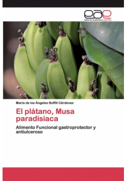 El plátano, Musa paradisiaca