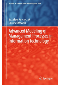 Advanced Modeling of Management Processes