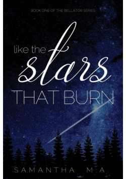 Like The Stars That Burn
