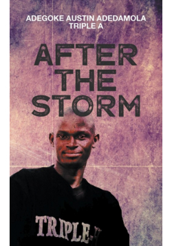 After the Storm