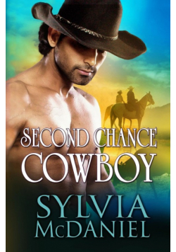 Second Chance Cowboy