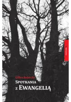 Spotkania z Ewangelią