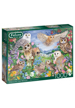 Puzzle 1000 Falcon Sowy G3