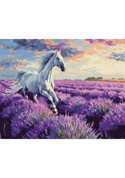 Malowanie po numerach - W lawendowych polach 40x50