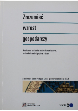Zrozumieć wzrost gospodarczy