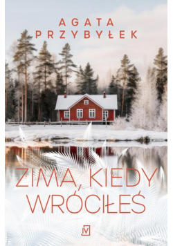 Zima, kiedy wróciłeś