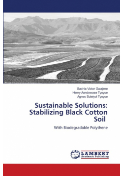 Sustainable Solutions