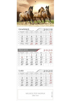 Kalendarz 2020 Trójdzielny Konie CRUX