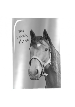 Notes A5 z lustrzaną okładką Paso Horse