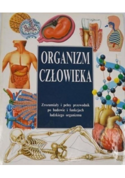 Organizm człowieka