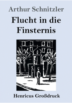 Flucht in die Finsternis (Großdruck)