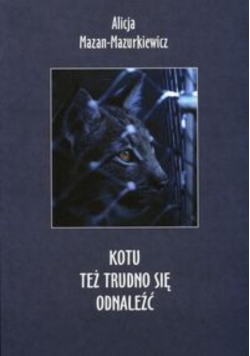 Kotu też trudno się odnaleźć