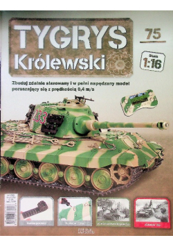 Tygrys Królewski Nr 75 / 23