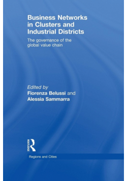 Business Networks in Clusters and Industrial Districts