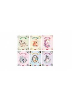 Zeszyt A5/16K linia podwójna Fairy animals (10szt)