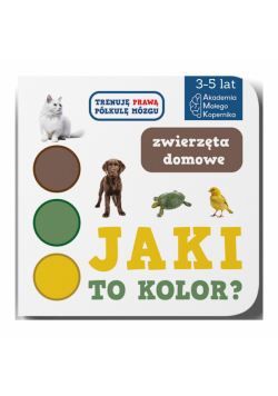 Jaki to kolor? Zwierzeta domowe