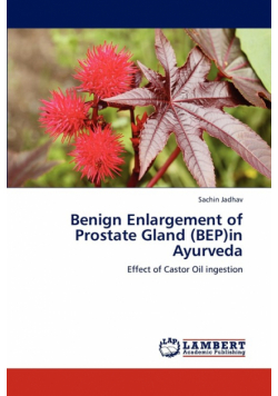 Benign Enlargement of Prostate Gland (BEP)in Ayurveda
