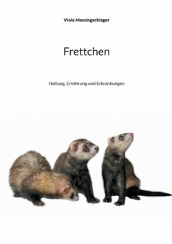 Frettchen