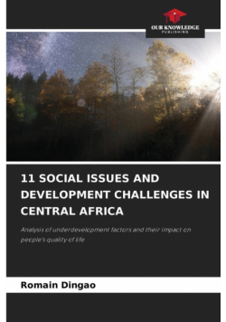 11 Social Issues And Development Challenges In Central Africa
