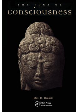 Idea of Consciousness