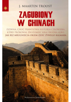 Zagubiony w Chinach