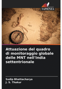 Attuazione del quadro di monitoraggio globale delle MNT nell'India settentrionale