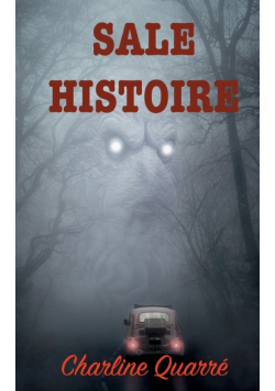 Sale Histoire
