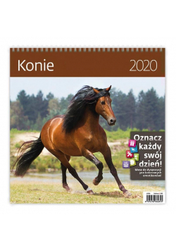 Kalendarz 2020 30x30cm Konie HELMA