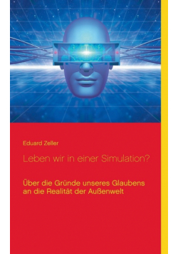 Leben wir in einer Simulation?