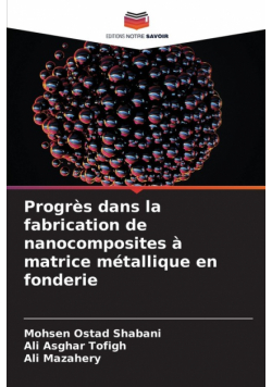 Progrès dans la fabrication de nanocomposites à matrice métallique en fonderie