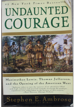 Undaunted courage