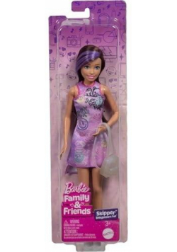 Barbie Family&Friends Lalka Skipper JBF41