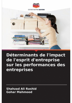 Déterminants de l'impact de l'esprit d'entreprise sur les performances des entreprises