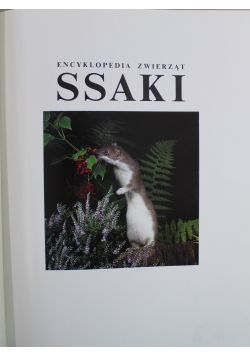 Ssaki Encyklopedia zwierząt
