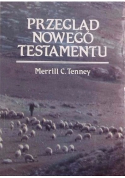 Przegląd Nowego Testamentu Przewodnik