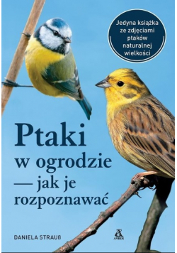 Ptaki w ogrodzie - jak je rozpoznawać