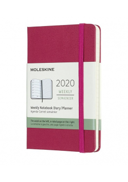 Kalendarz 2020 tygodniowy 12MP tw. Snappy pink