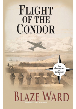 Flight of the Condor