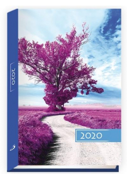 Terminarz 2020 B6 Kolorowy drzewo