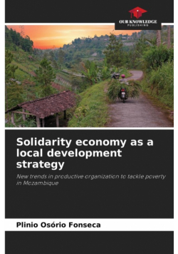 Solidarity economy as a local development strategy