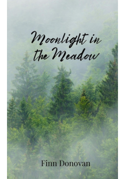 Moonlight in the Meadow