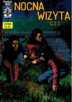 Nocna Wizyta
