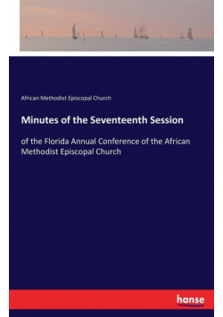 Minutes of the Seventeenth Session