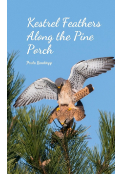 Kestrel Feathers Along the Pine Porch