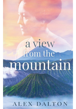 A View From The Mountain