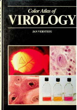 Color Atlas of Virology