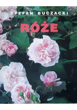 Róże